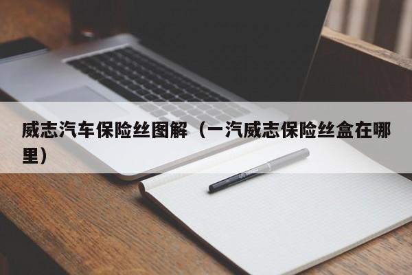 威志汽车保险丝图解（一汽威志保险丝盒在哪里）