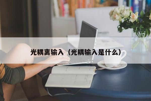 光耦离输入（光耦输入是什么）