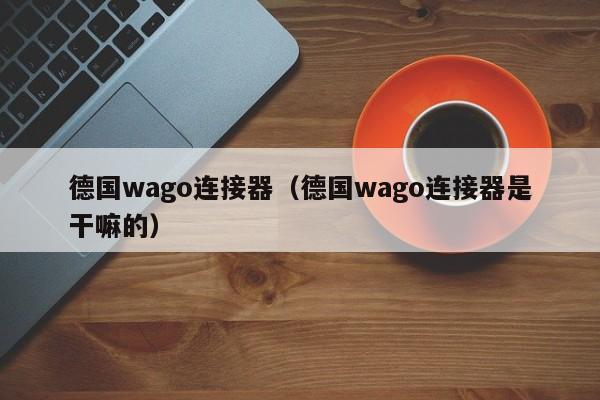 德国wago连接器（德国wago连接器是干嘛的）