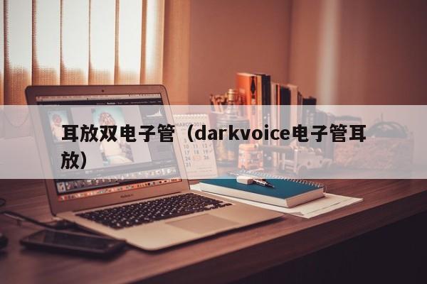 耳放双电子管（darkvoice电子管耳放）