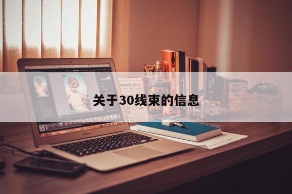 关于30线束的信息