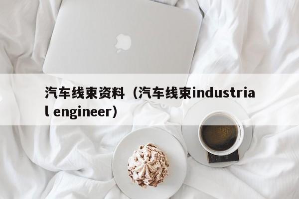 汽车线束资料（汽车线束industrial engineer）