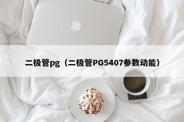 二极管pg（二极管PG5407参数动能）