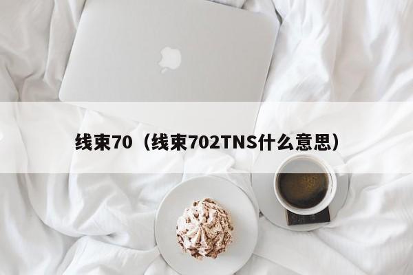 线束70（线束702TNS什么意思）