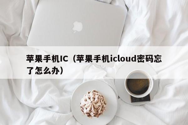 苹果手机IC（苹果手机icloud密码忘了怎么办）