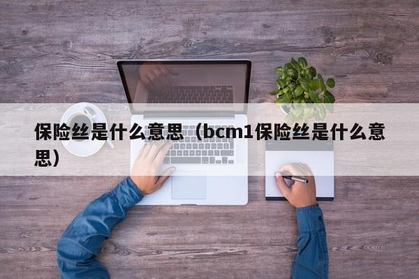 保险丝是什么意思（bcm1保险丝是什么意思）