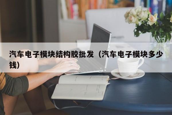 汽车电子模块结构胶批发（汽车电子模块多少钱）