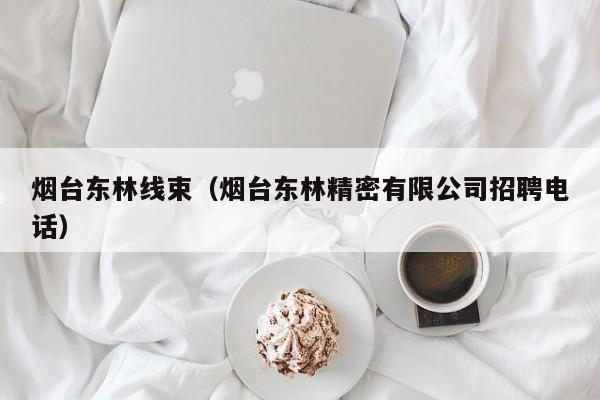 烟台东林线束（烟台东林精密有限公司招聘电话）