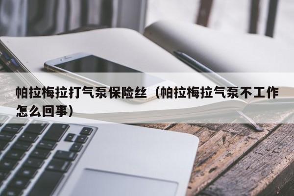 帕拉梅拉打气泵保险丝（帕拉梅拉气泵不工作怎么回事）