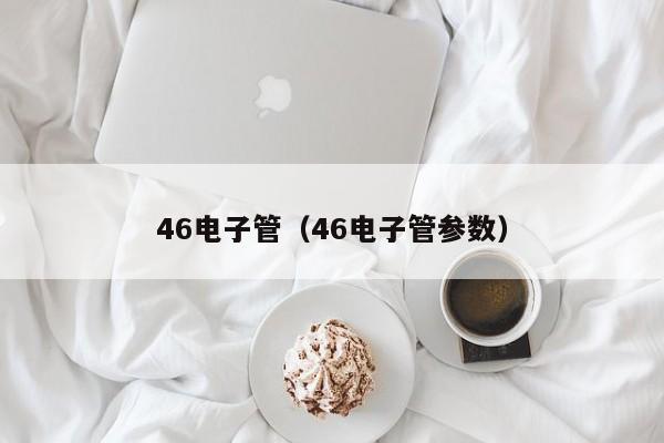 46电子管（46电子管参数）