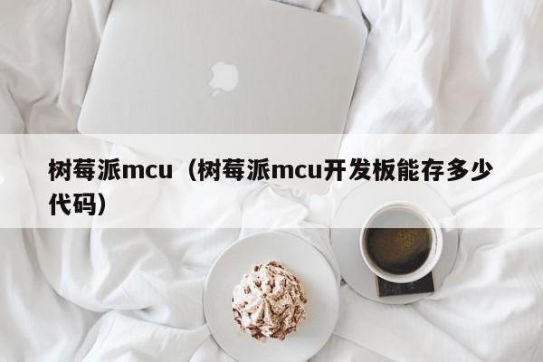 树莓派mcu（树莓派mcu开发板能存多少代码）