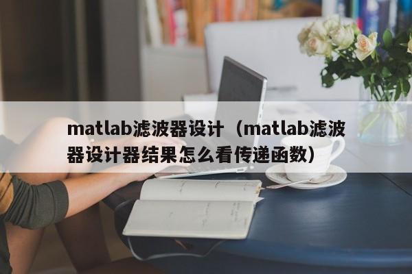 matlab滤波器设计（matlab滤波器设计器结果怎么看传递函数）