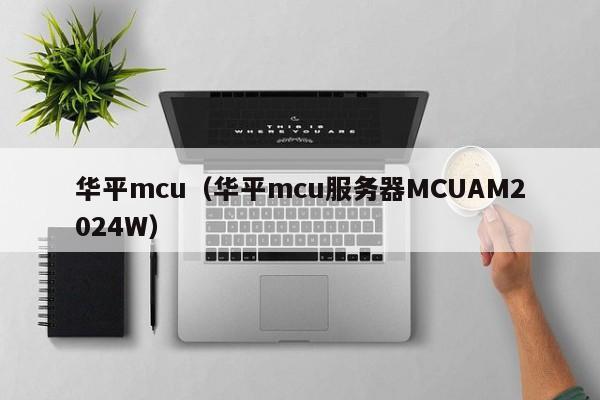 华平mcu（华平mcu服务器MCUAM2024W）