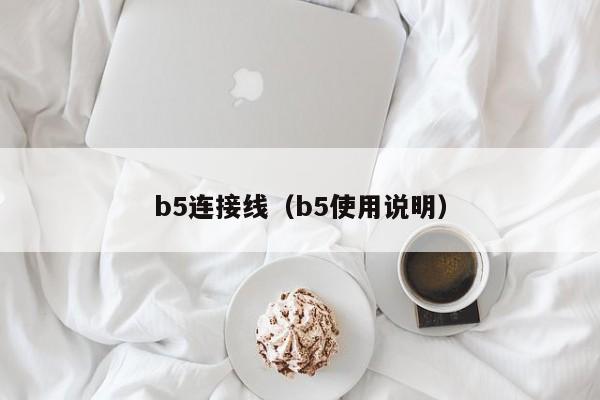 b5连接线（b5使用说明）