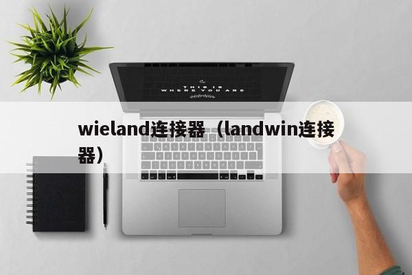 wieland连接器（landwin连接器）