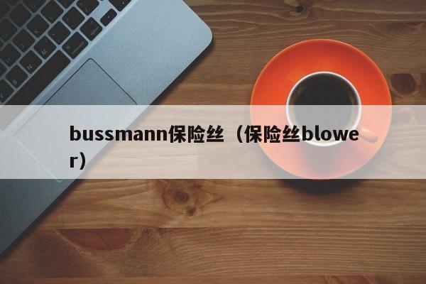 bussmann保险丝（保险丝blower）