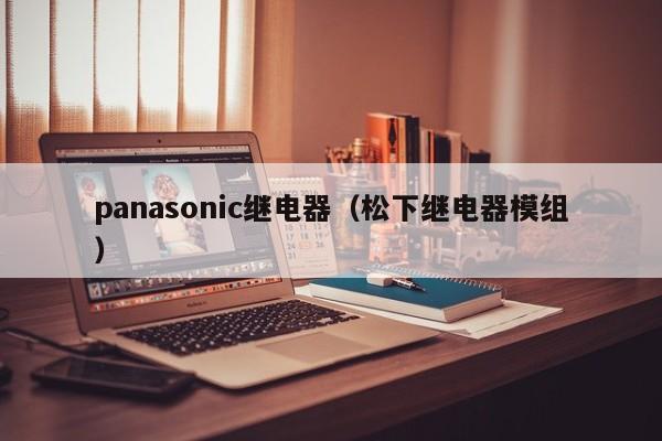 panasonic继电器（松下继电器模组）