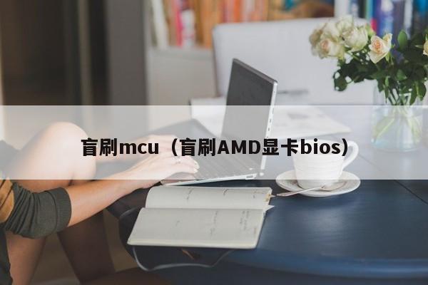 盲刷mcu（盲刷AMD显卡bios）