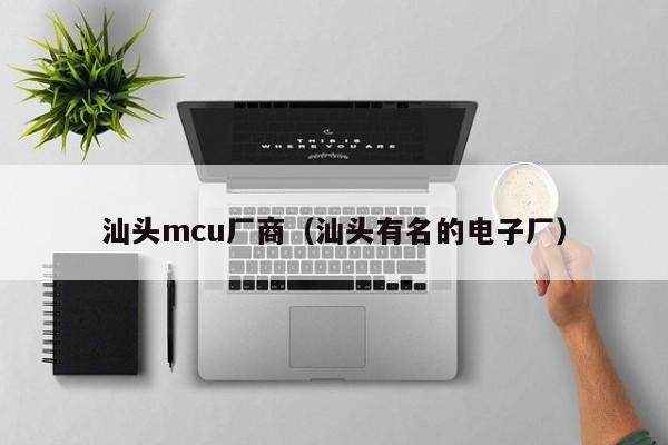 汕头mcu厂商（汕头有名的电子厂）