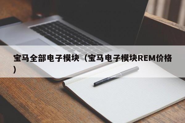 宝马全部电子模块（宝马电子模块REM价格）