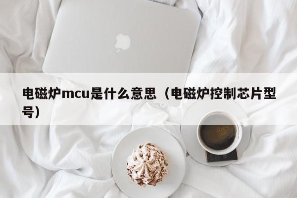 电磁炉mcu是什么意思（电磁炉控制芯片型号）