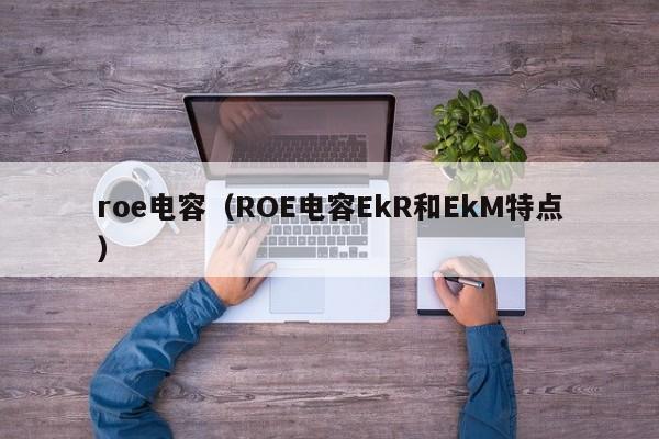 roe电容（ROE电容EkR和EkM特点）