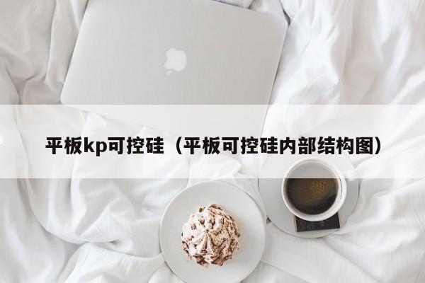 平板kp可控硅（平板可控硅内部结构图）