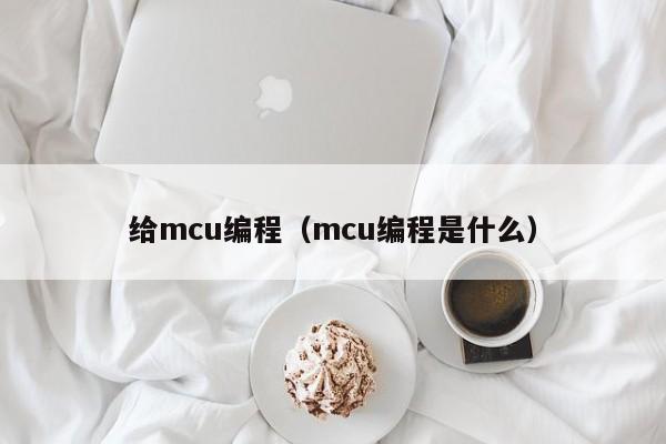 给mcu编程（mcu编程是什么）