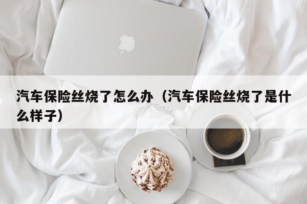 汽车保险丝烧了怎么办（汽车保险丝烧了是什么样子）