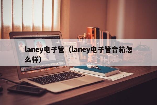 laney电子管（laney电子管音箱怎么样）