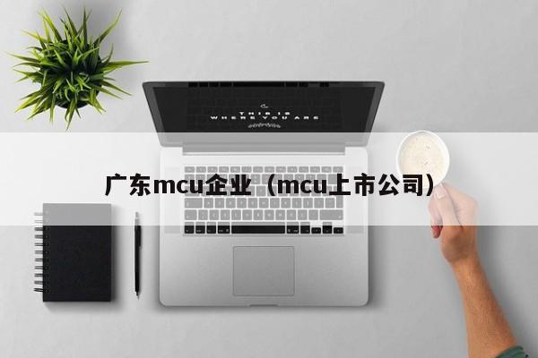 广东mcu企业（mcu上市公司）