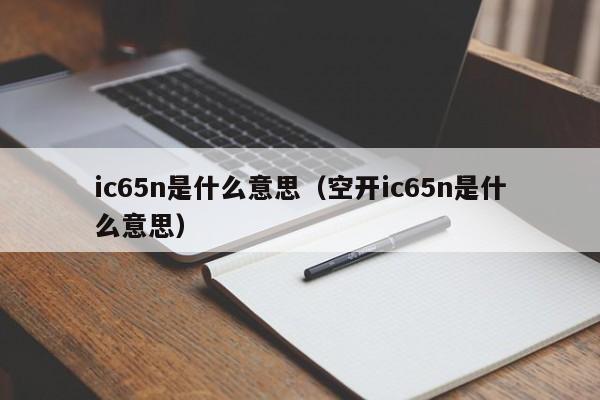 ic65n是什么意思（空开ic65n是什么意思）