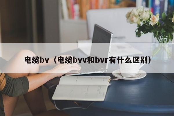 电缆bv（电缆bvv和bvr有什么区别）