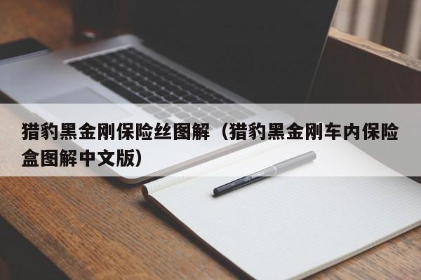 猎豹黑金刚保险丝图解（猎豹黑金刚车内保险盒图解中文版）