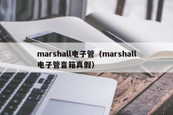 marshall电子管（marshall电子管音箱真假）