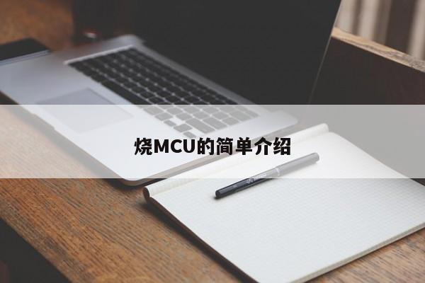 烧MCU的简单介绍