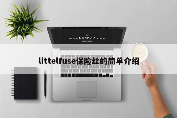 littelfuse保险丝的简单介绍