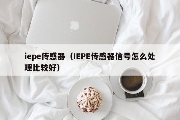 iepe传感器（IEPE传感器信号怎么处理比较好）