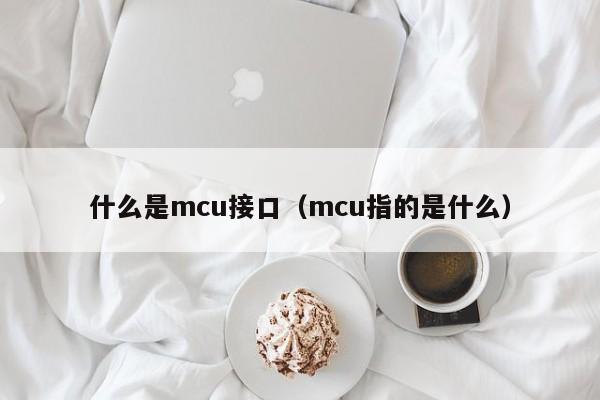 什么是mcu接口（mcu指的是什么）