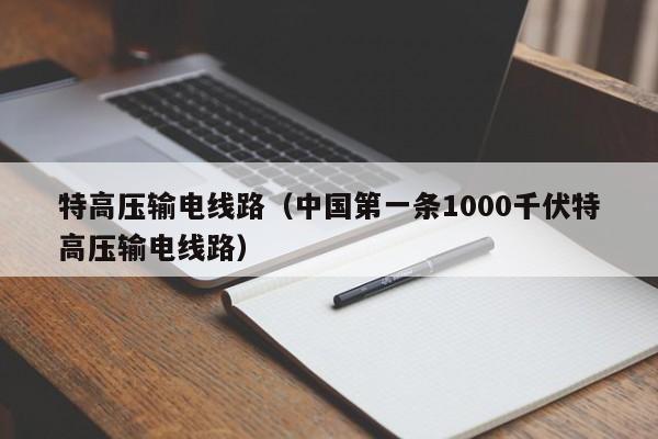 特高压输电线路（中国第一条1000千伏特高压输电线路）