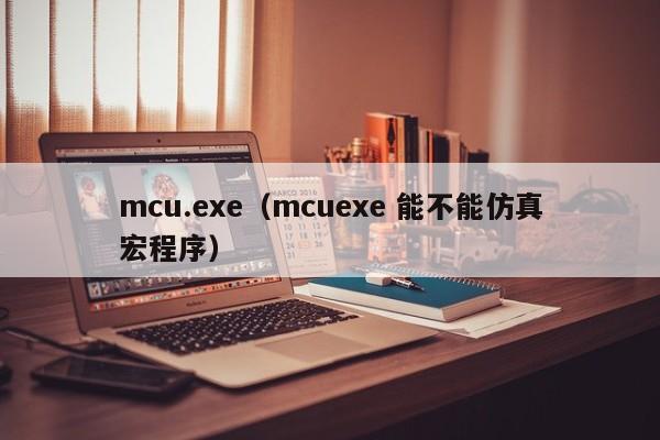 mcu.exe（mcuexe 能不能仿真宏程序）