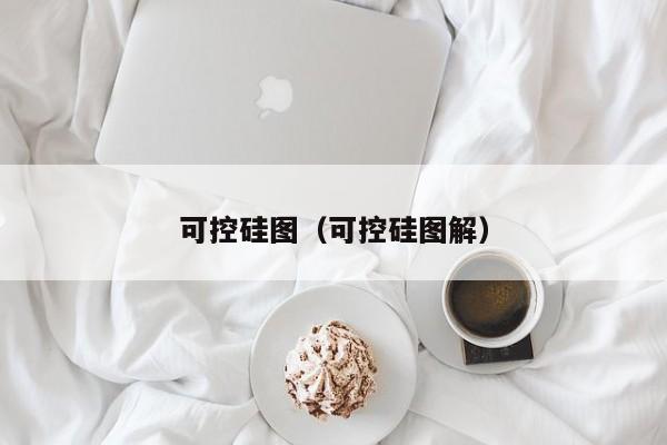 可控硅图（可控硅图解）