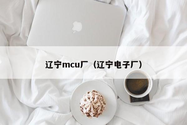 辽宁mcu厂（辽宁电子厂）