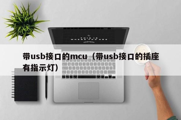 带usb接口的mcu（带usb接口的插座有指示灯）