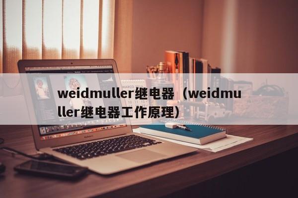 weidmuller继电器（weidmuller继电器工作原理）