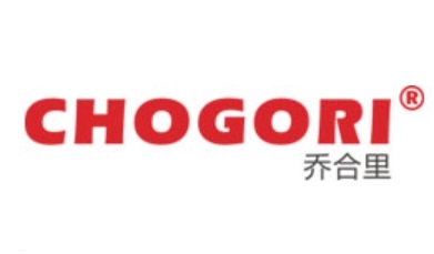 Chogori Technology(乔合里)公司简介与产品类型介绍